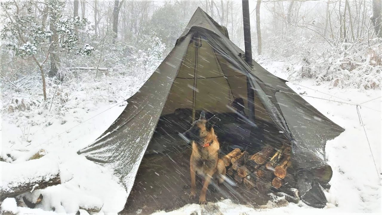 4 Days WINTER CAMPING in Blizzard With My Dog, Survival, Off Grid